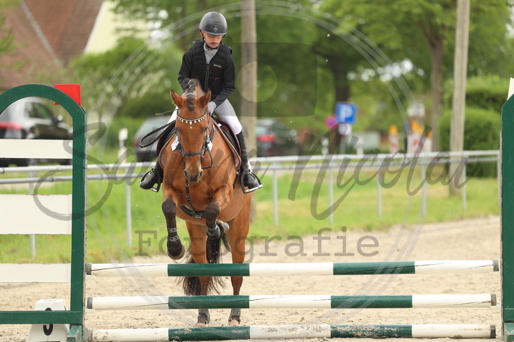 994A8642 | sabrinanicolaifotografie - Realisiert mit Pictrs.com