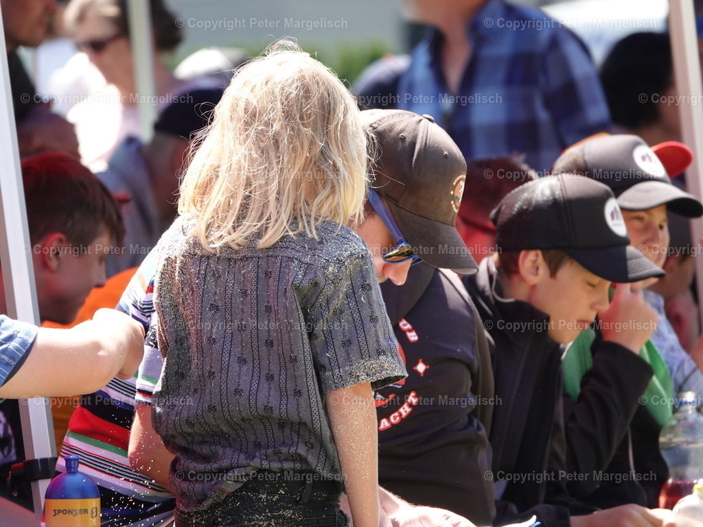 DSC04730 | Schwingen - Realisiert mit Pictrs.com