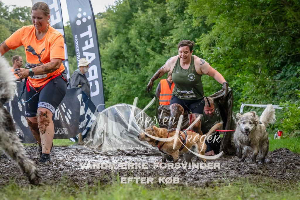 1154_ZZ90195-Bearbeitet | kk-dogfotos