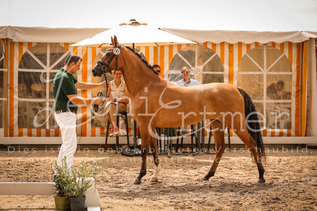 11.So00015 | Leoni Ertmer Photography - Realisiert mit Pictrs.com