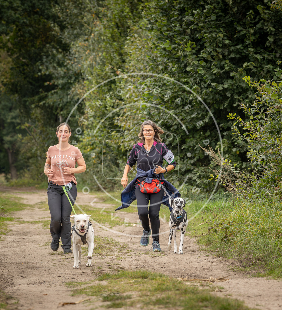 Pfotenfotografie_DV3A8367 | Hundefotografie, Tierfotograf, Pfotenfotografie, Fotoshooting Hund, Hunde Portrait, Hundesport, Hundeportraits, Heideshooting, Hunde, Sportfotograf, Hundefotograf, Turnierhundsport, THS,  - Realisiert mit Pictrs.com