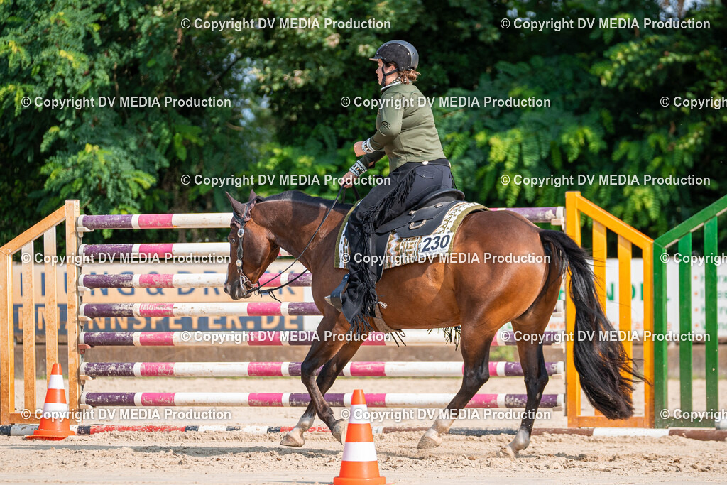 Zeiskam Tag 1-289 | dv-media-shop - Realisiert mit Pictrs.com