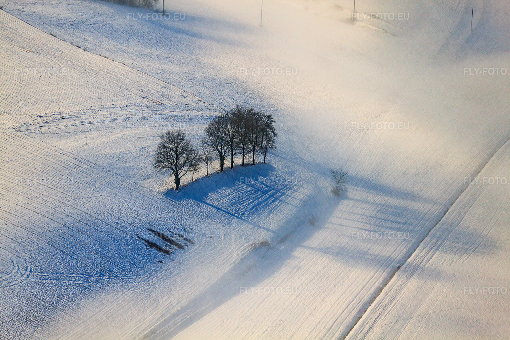 Vue aérienne: Un groupe d'arbres dans un champ enneigé. En hiver, sous les nuages. à Wintzenbach dans le département Bas Rhin, France – .Photo: IMG_36193.jpg prise le 02/01/2011 par Werner Riehm/FLY-FOTO.eu – Résolution de l'original: 4752 x 3168 px