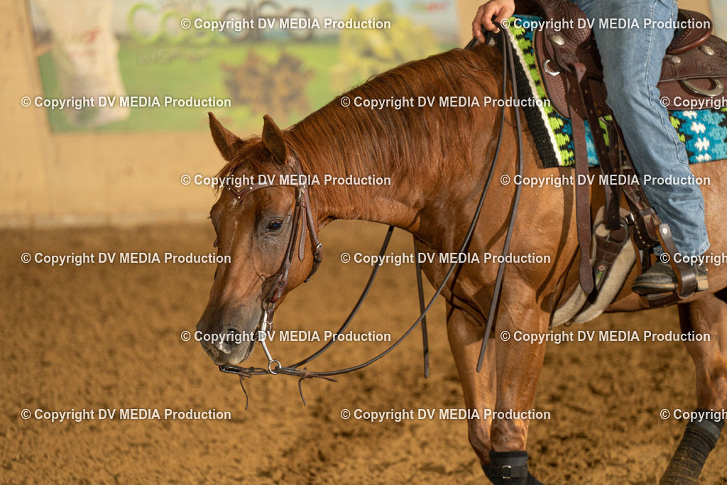 LAU00407 | dv-media-shop - Realisiert mit Pictrs.com