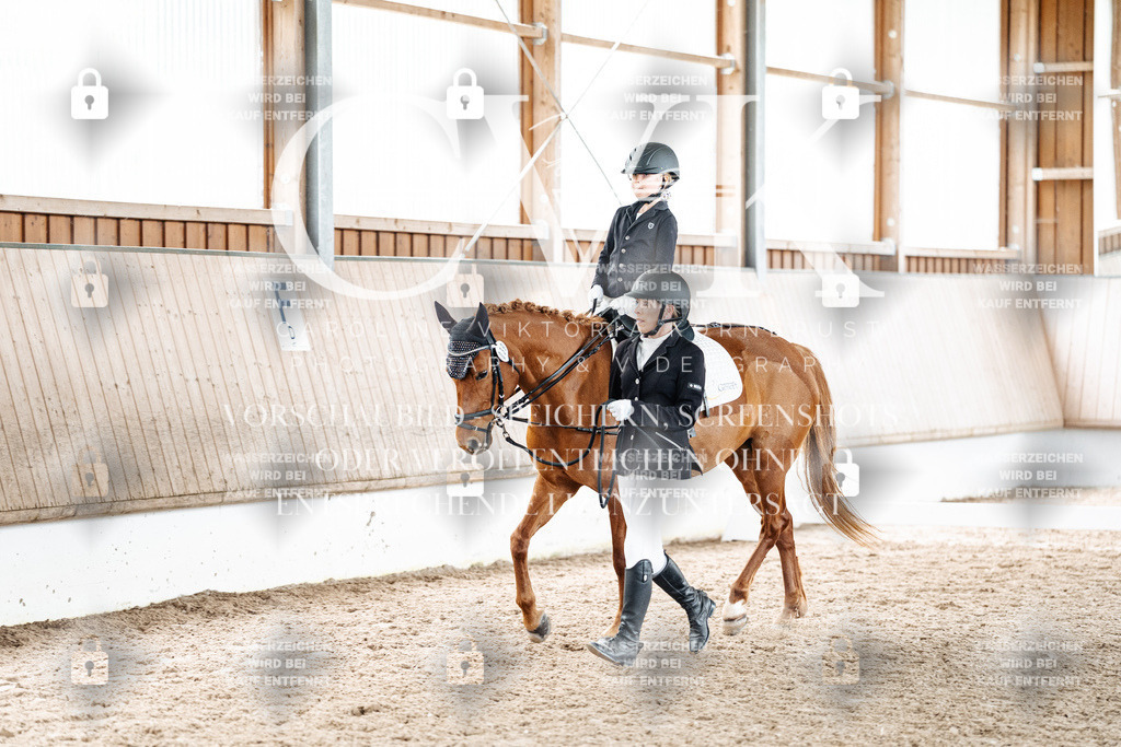 CK901791 | Turnierfotografie Pferdefotografie Trier Rheinland-Pfalz Pferdesport Reitsport Tierfotografie Sportfotografie Pferdevideo Pferdevideografie Equestrianvideography equestrianphotography  - Realized with Pictrs.com