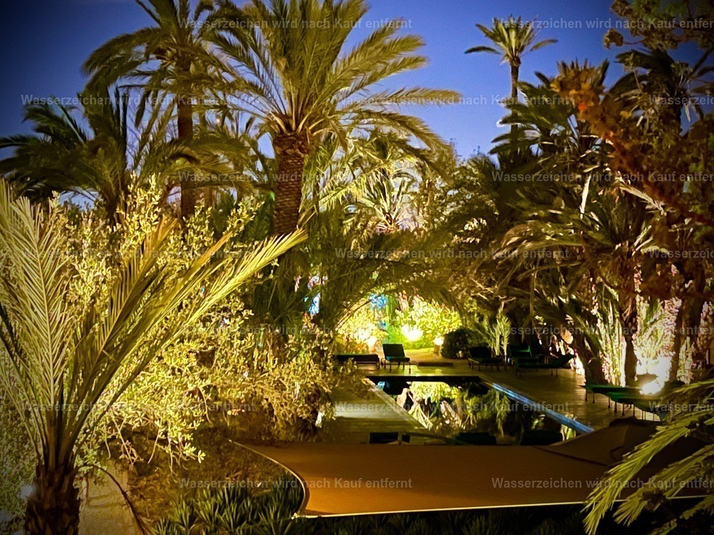 IMG_3426 | heikomoeller - Realisiert mit Pictrs.com