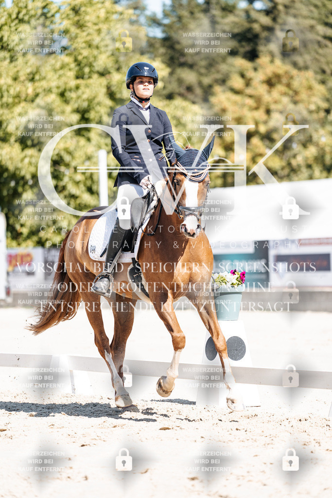 CK909218 | Turnierfotografie Pferdefotografie Trier Rheinland-Pfalz Pferdesport Reitsport Tierfotografie Sportfotografie Pferdevideo Pferdevideografie Equestrianvideography equestrianphotography  - Realisiert mit Pictrs.com