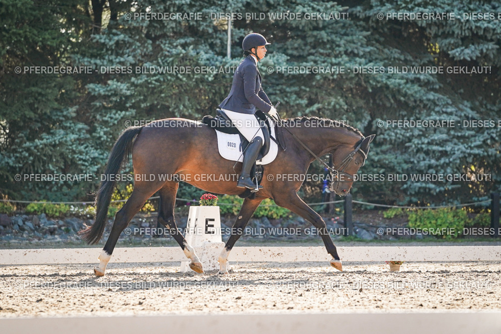 DSC08585 | Pferdegrafie