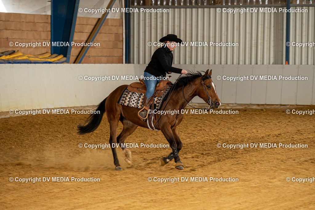 MIT00292 | dv-media-shop - Realisiert mit Pictrs.com