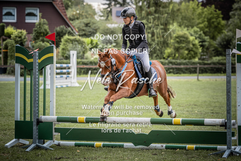 nelerasche_StilSpr60Ede_34 | nelerasche