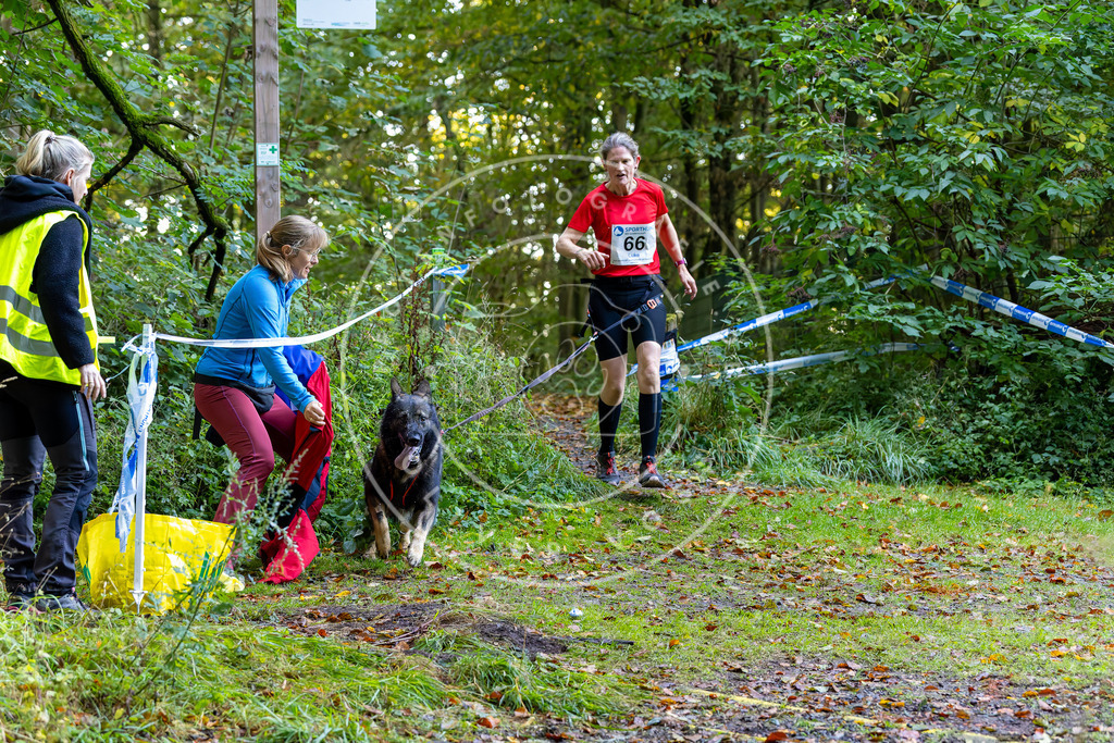Pfotenfotografie_DV3A7262 | Hundefotografie, Tierfotograf, Pfotenfotografie, Fotoshooting Hund, Hunde Portrait, Hundesport, Hundeportraits, Heideshooting, Hunde, Sportfotograf, Hundefotograf, Turnierhundsport, THS,  - Realisiert mit Pictrs.com