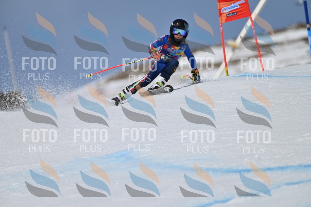 BGV_6972 | holidayphoto