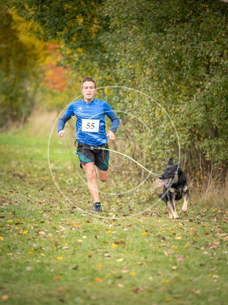 Pfotenfotografie_DV3A2559 | Hundefotografie, Tierfotograf, Pfotenfotografie, Fotoshooting Hund, Hunde Portrait, Hundesport, Hundeportraits, Heideshooting, Hunde, Sportfotograf, Hundefotograf, Turnierhundsport, THS,  - Realisiert mit Pictrs.com