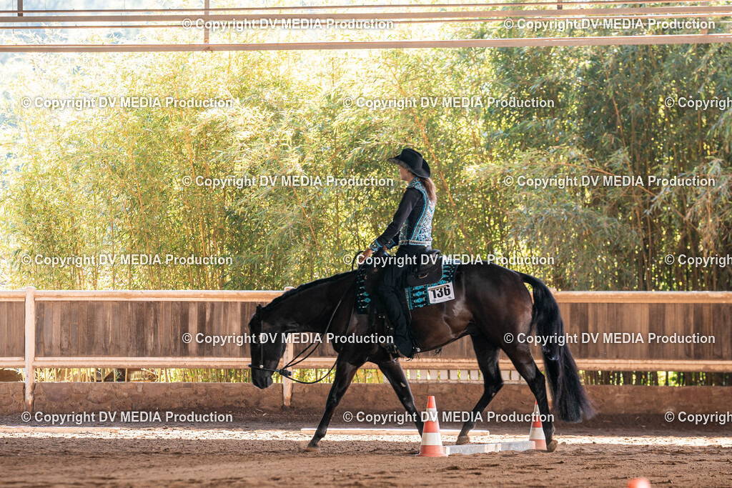 Erbach Tag 3-331 | dv-media-shop - Realisiert mit Pictrs.com