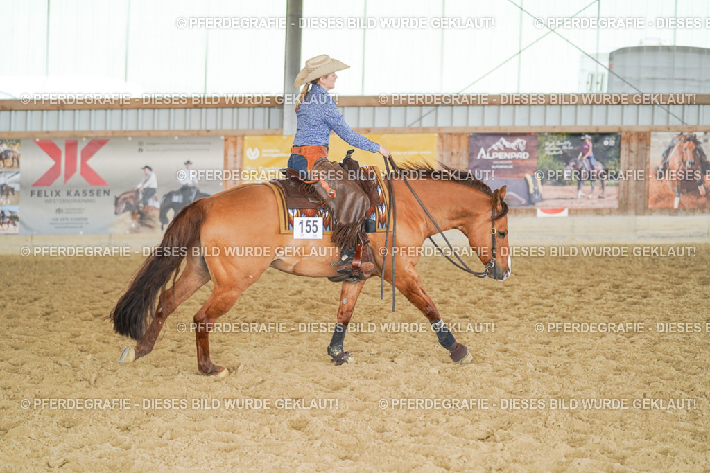 DSC01547 | Pferdegrafie