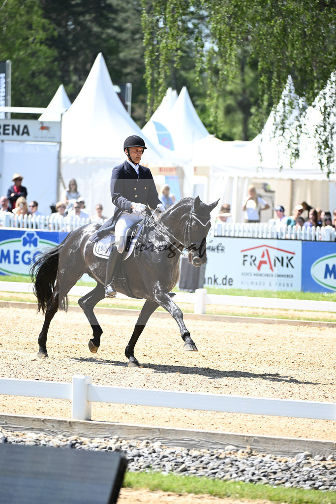 Spatz_Walentina_12246294 | hf-fotografie - Realisiert mit Pictrs.com