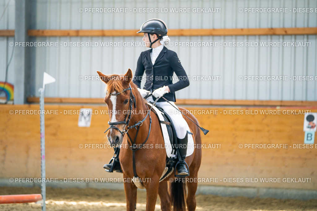 DSC01686 | Pferdegrafie