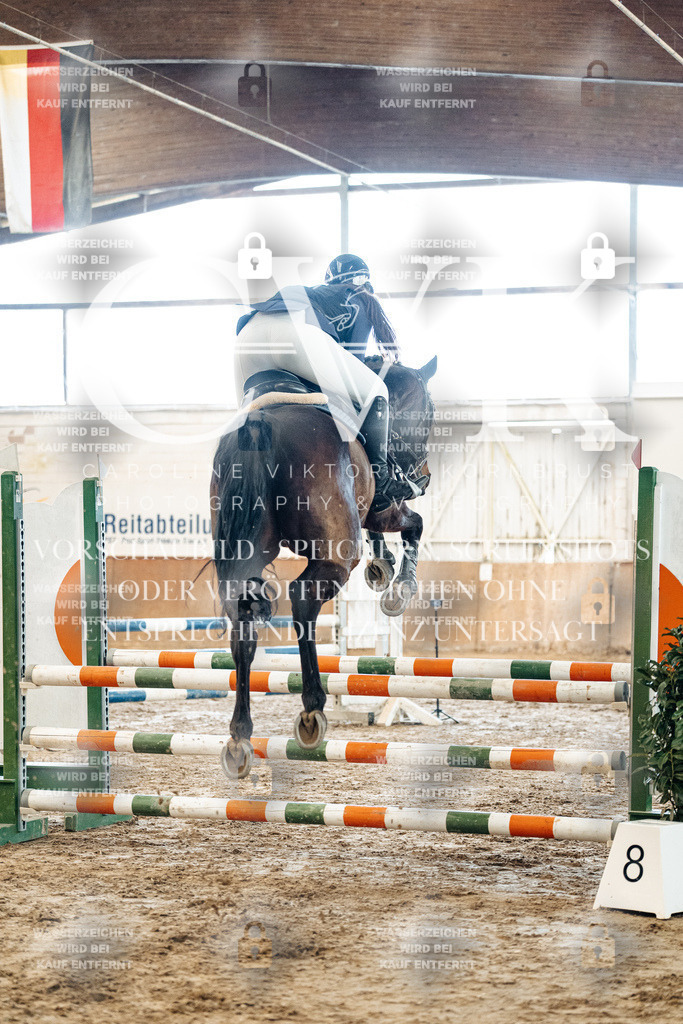 CK904278 | Turnierfotografie Pferdefotografie Trier Rheinland-Pfalz Pferdesport Reitsport Tierfotografie Sportfotografie Pferdevideo Pferdevideografie Equestrianvideography equestrianphotography  - Realized with Pictrs.com