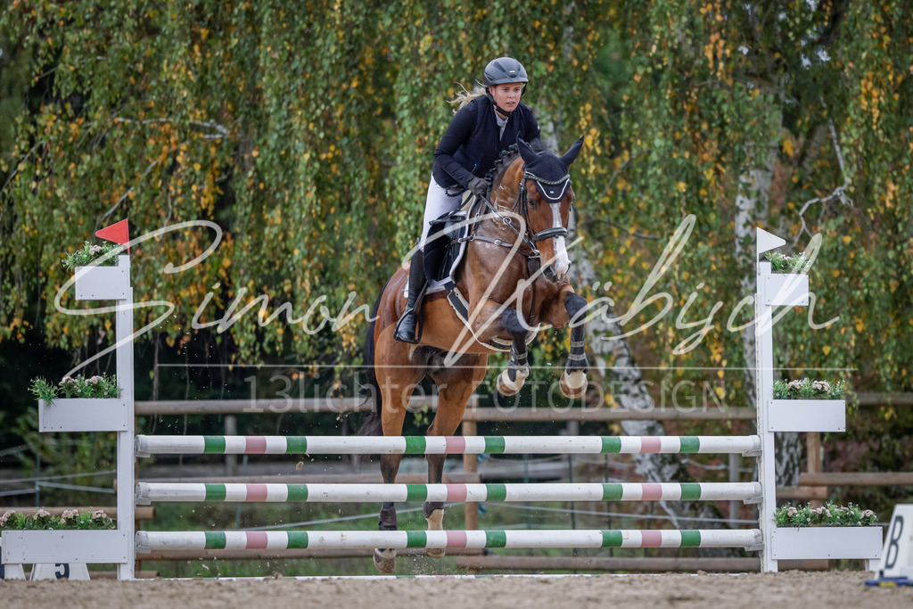 20251012-_3LI3889 | Tierfotografie Pferde, Hunde, Katzen, Haustiere.
Turnierfotografie Reitturniere, Reiten, Springreiten, Dressur in Hanau, dem Main-Kinzig-Kreis und dem Rhein-Main- Gebiet um Frankfurt