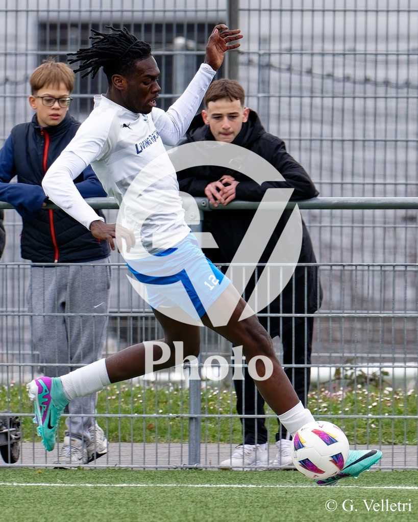 DSC_4597 | Velletri Photo