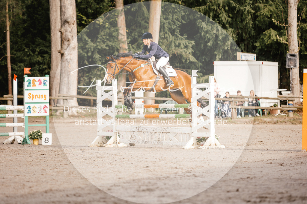 3I6A3241 | Stimmungsvolle Portraits und Reitsportfotografie im Ruhrgebiet und im Münsterland.

Pferdefotografie, Hundefotografie, Tierfotografie, Reportagen, Portraits von Tier und Mensch, Turnierfotografie in Bochum, Recklinghausen, Marl, Haltern am See, Dülmen.. - Realisiert mit Pictrs.com