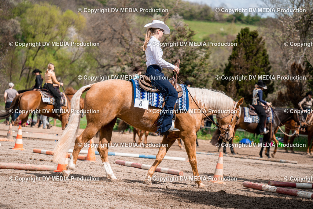 BAL02377 | dv-media-shop - Realisiert mit Pictrs.com