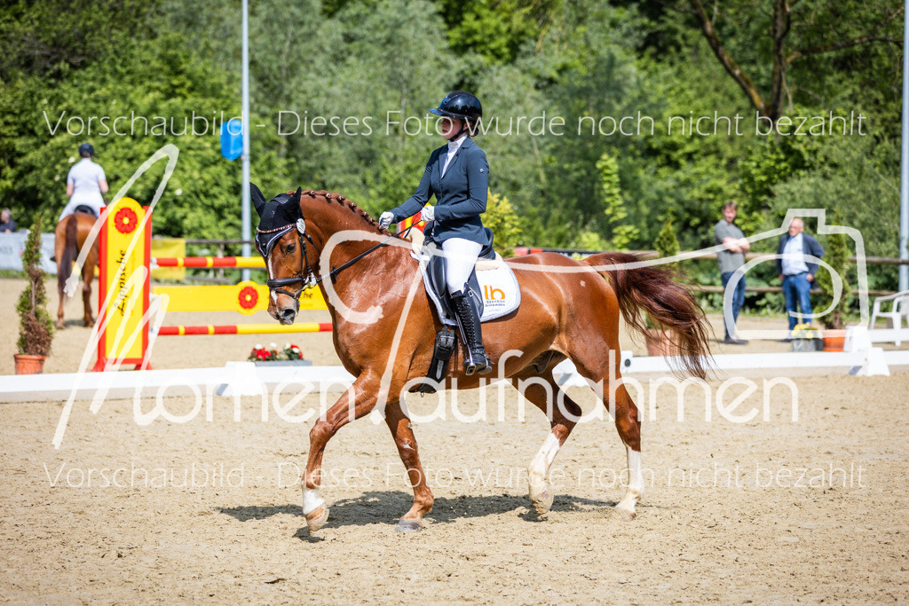 Donop24-L-Dre-026 | MomenTaufnahmen Pferdesportfotos