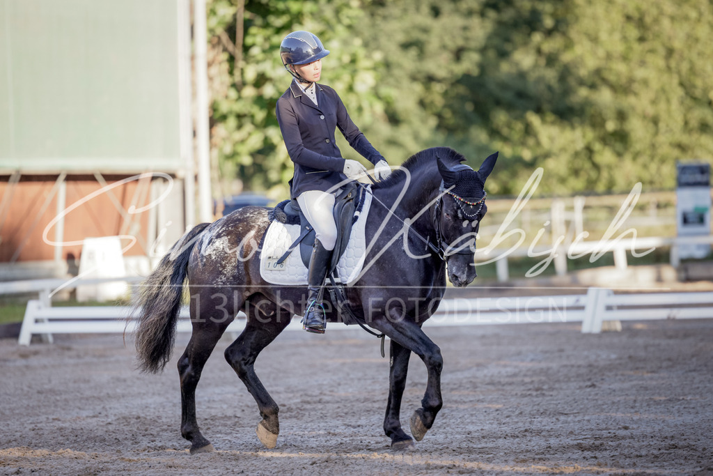20250906-_3LI2787 | Tierfotografie Pferde, Hunde, Katzen, Haustiere.
Turnierfotografie Reitturniere, Reiten, Springreiten, Dressur in Hanau, dem Main-Kinzig-Kreis und dem Rhein-Main- Gebiet um Frankfurt