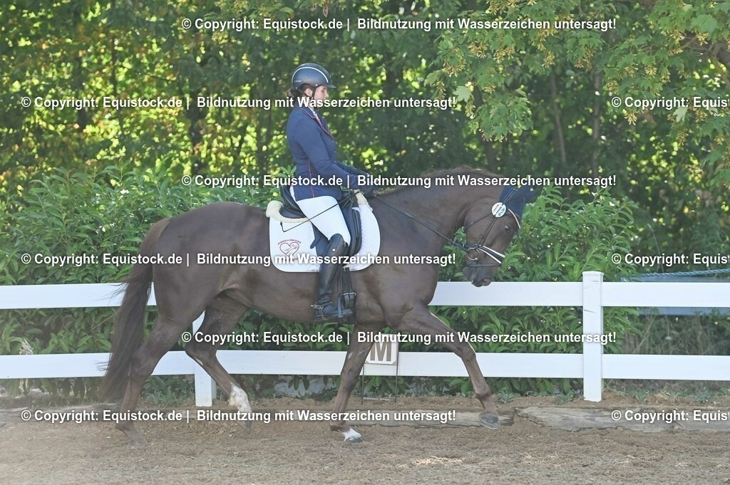 20230715_06_Dressurpferdeprfg. Kl.A_0126 | equistock