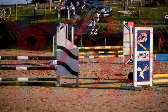 2026_10_03_Siefer-Hof_171356_Z81_10898228 | Professionelle Reitsport-, Turnier- und Eventfotografie von Robert Broda. Galerien mit ausgewählten und bearbeiteten Bildern direkt online ansehen und bestellen.