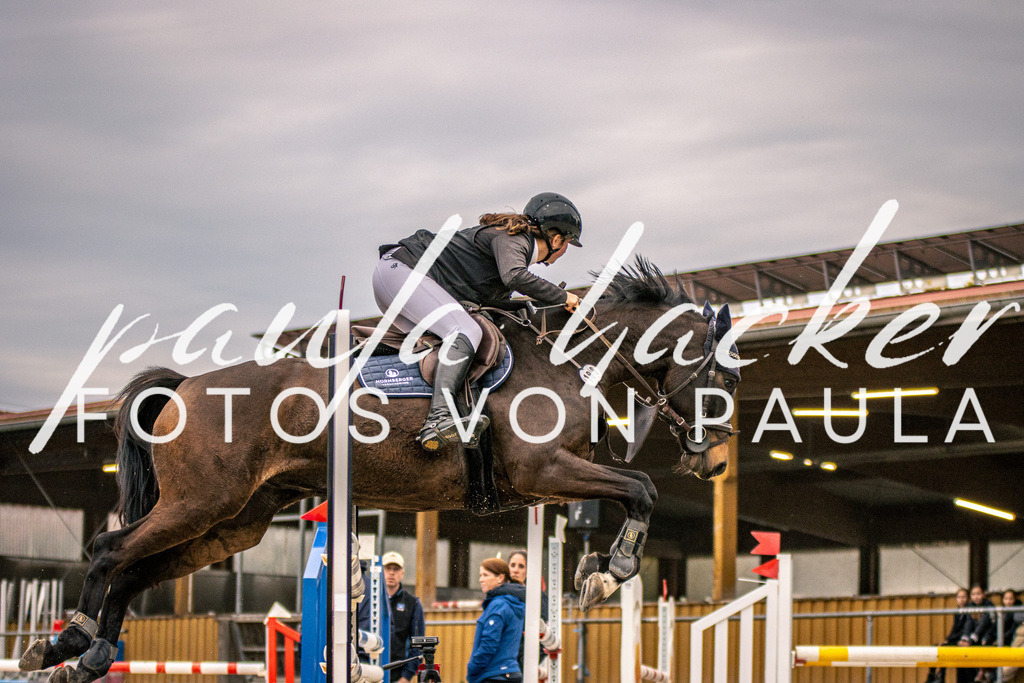 IMG_6287 | Erleben Sie dynamische Sport- und emotionale Tierfotografie in Süddeutschland mit Fotos von Paula. Spezialisiert auf Pferde- und Hundefotografie sowie Sportevents. Kontaktieren Sie mich für einzigartige und ausdrucksstarke Bilder Ihrer besonderen Momente.