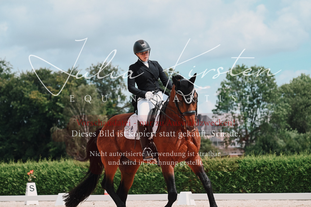 DSC_4393 | Pferde- und Turnierfotografie in Westsachsen. Pferdeportraits, Auftragszeichnungen und intuitive Kunst.