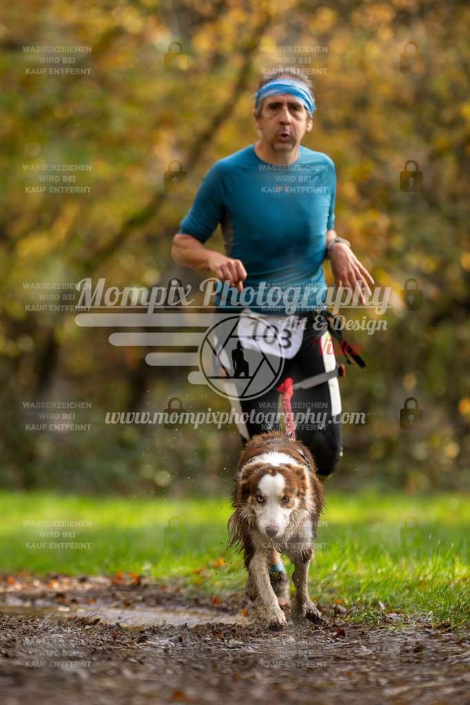 MompixPhotography_Bischwiller23_Canicross-59 | PayLife