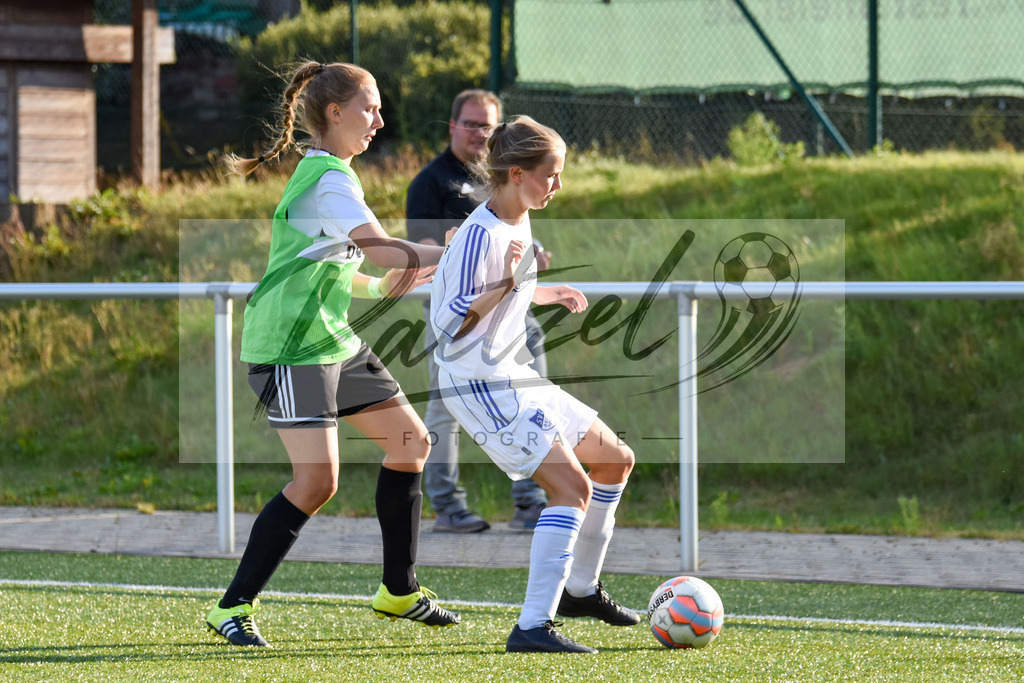 20180811_BORBEL_0012 | Fußball, Frauen:   beim Spiel der 1. Kreisklasse zwischen SG Borgloh/Kloster Oesede vs. SVC Belm-Powe am 11.08.2018 auf dem Kunstrasenplatz Borgloh in Borgloh, Deutschland.(Foto von Nico Paetzel) - Realisiert mit Pictrs.com