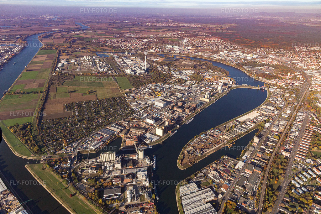 Luftbild: Industriehafen Friesenheimer Insel im Ortsteil Neckarstadt-West in Mannheim im Bundesland Baden-Württemberg in Deutschland. Foto: IMG_095473.jpg vom 30.10.2016 durch Werner Riehm/FLY-FOTO.de