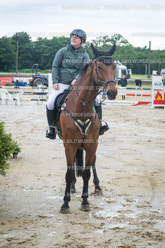 DSC04300 | Pferdegrafie