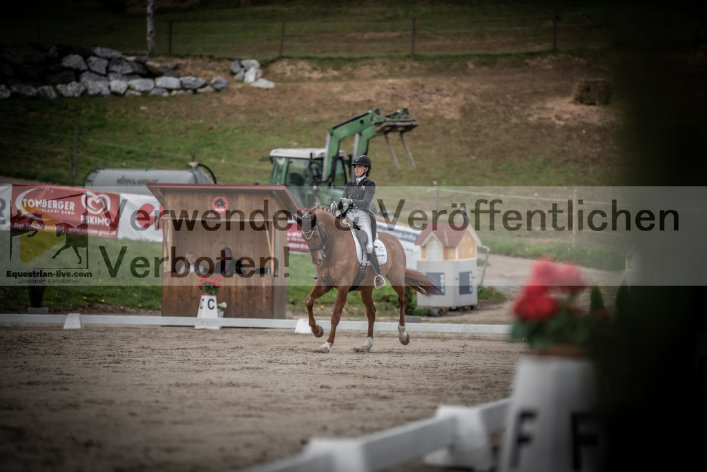 DSC_3044 | equestrian-live-com