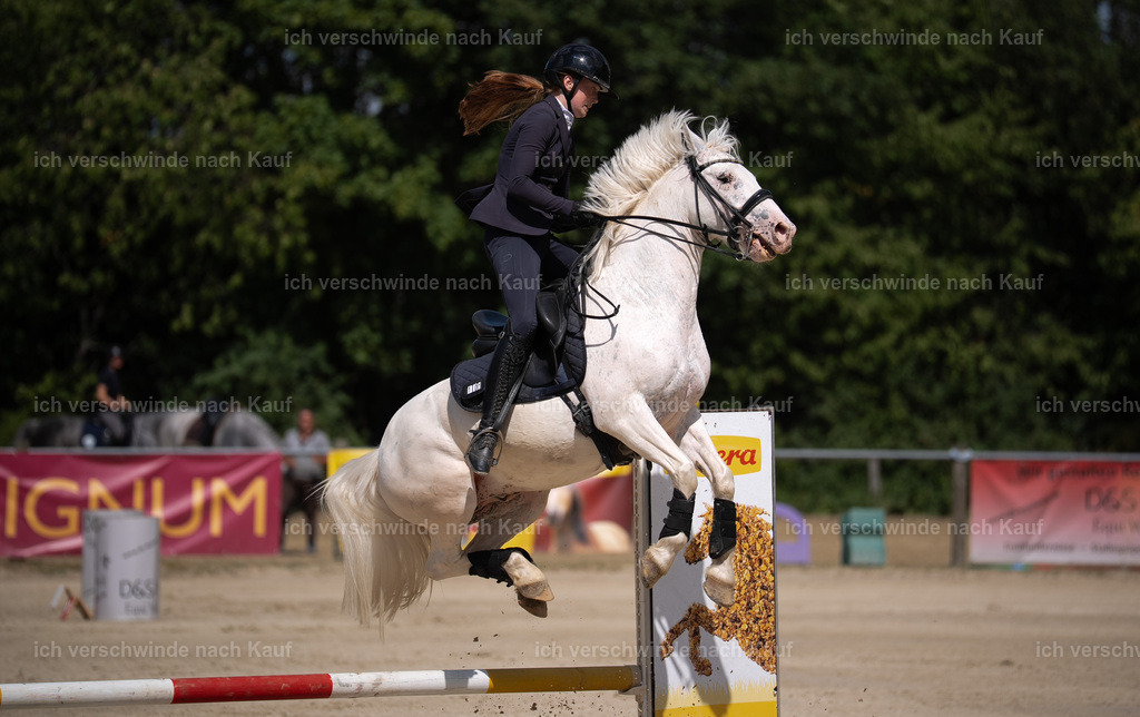 WM_SP_101_Stoibphotography_SO10024 | working equitationturnier fotograf videograf stoibphotography marixx film working equitation deutschland reitsport turnierfotografie eventfotografie equestrian events