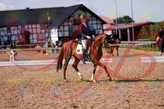 2026_10_03_Siefer-Hof_132726_Z81_81670308 | Professionelle Reitsport-, Turnier- und Eventfotografie von Robert Broda. Galerien mit ausgewählten und bearbeiteten Bildern direkt online ansehen und bestellen.