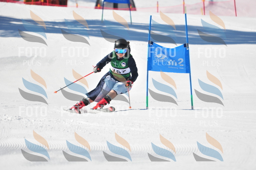 C4183 | holidayphoto