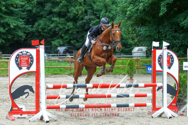 DKP44929 | Turnierfotos kaufen im Webshop von Daniel Kuhl Photography – entdecke professionelle Reitsportfotos aus Turnieren & Events. Hochwertige Turnierbilder online bestellen & sichern. Jetzt Fotos von Reitsportturnieren kaufen!