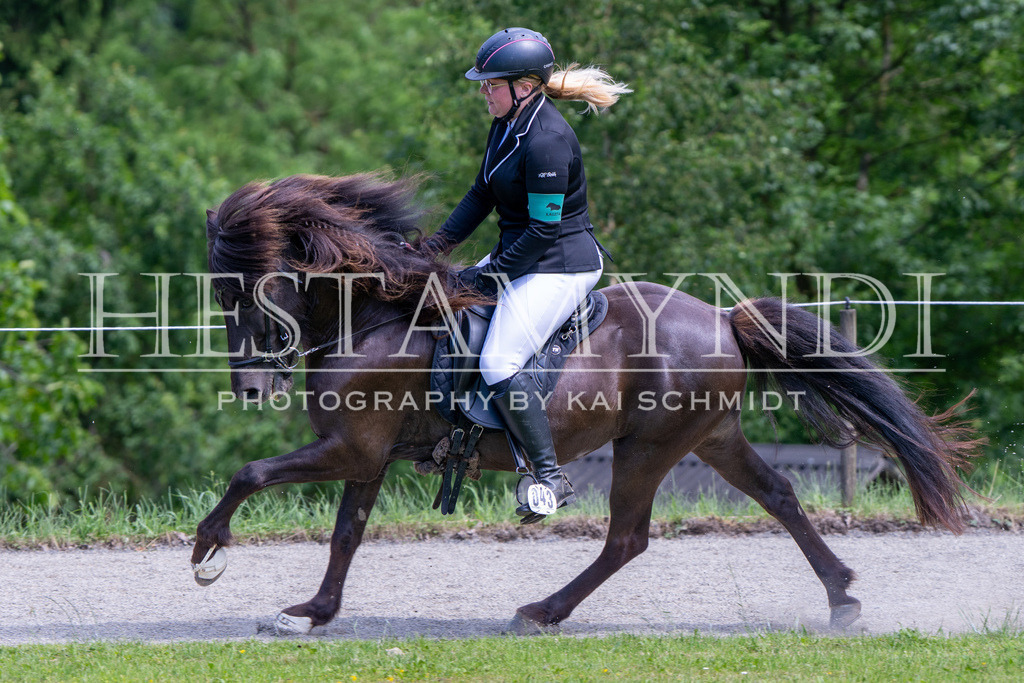 KAI02577 | Ihr sucht einen Fotografen für eure nächste OSI? Ich begleite auch euer Turnier für Islandpferde fotografisch.  - Realisiert mit Pictrs.com