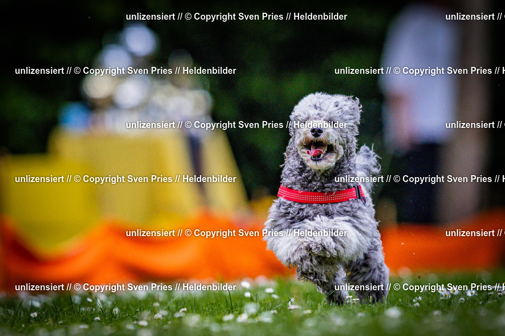 Sven Pries | 2025-05-29 - Pudelrennen KA-Durlach - Realisiert mit Pictrs.com