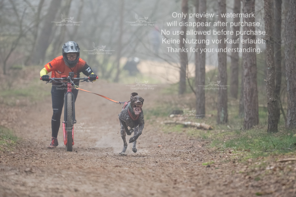 Scooter1-21 | stephaniefillaphotographie - Realisiert mit Pictrs.com