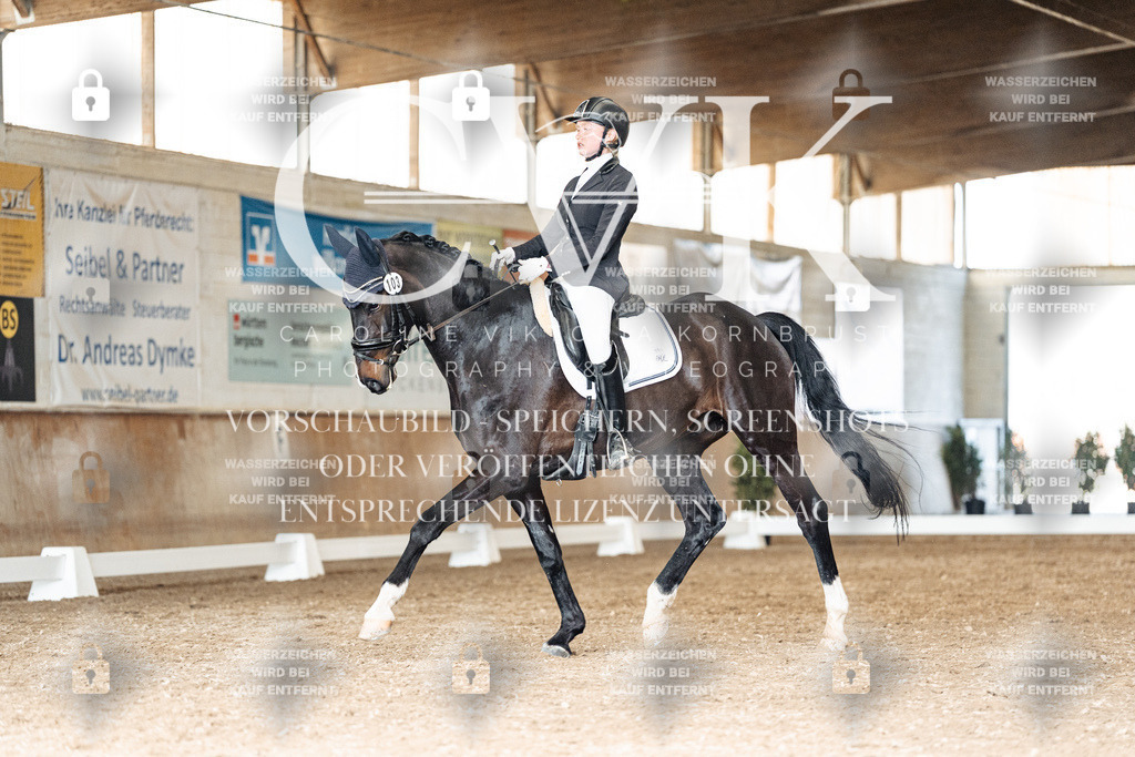 CK901848 | Turnierfotografie Pferdefotografie Trier Rheinland-Pfalz Pferdesport Reitsport Tierfotografie Sportfotografie Pferdevideo Pferdevideografie Equestrianvideography equestrianphotography  - Realized with Pictrs.com
