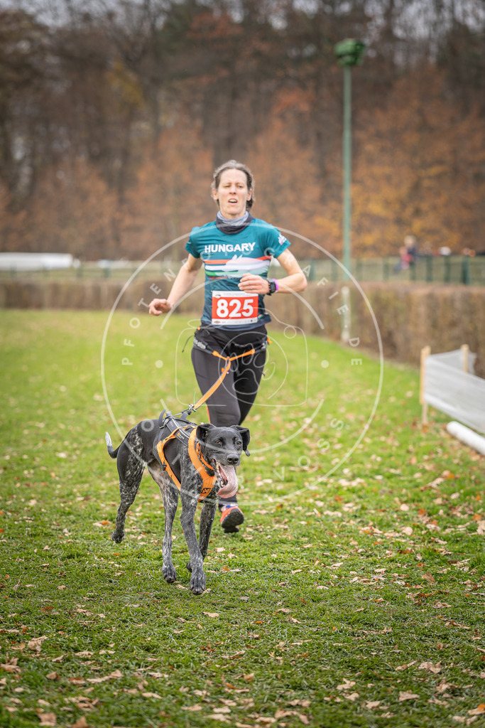 CaniXpix_DV3A6423 | Hundefotografie, Tierfotograf, Pfotenfotografie, Fotoshooting Hund, Hunde Portrait, Hundesport, Hundeportraits, Heideshooting, Hunde, Sportfotograf, Hundefotograf, Turnierhundsport, THS,  - Realisiert mit Pictrs.com