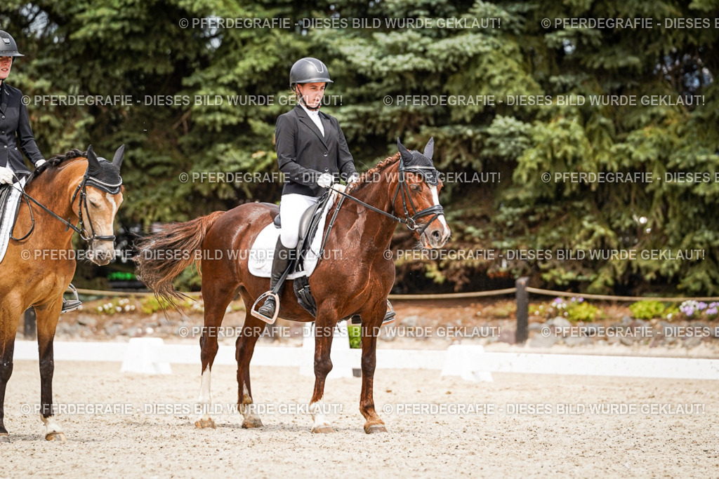 DSC04489 | Pferdegrafie