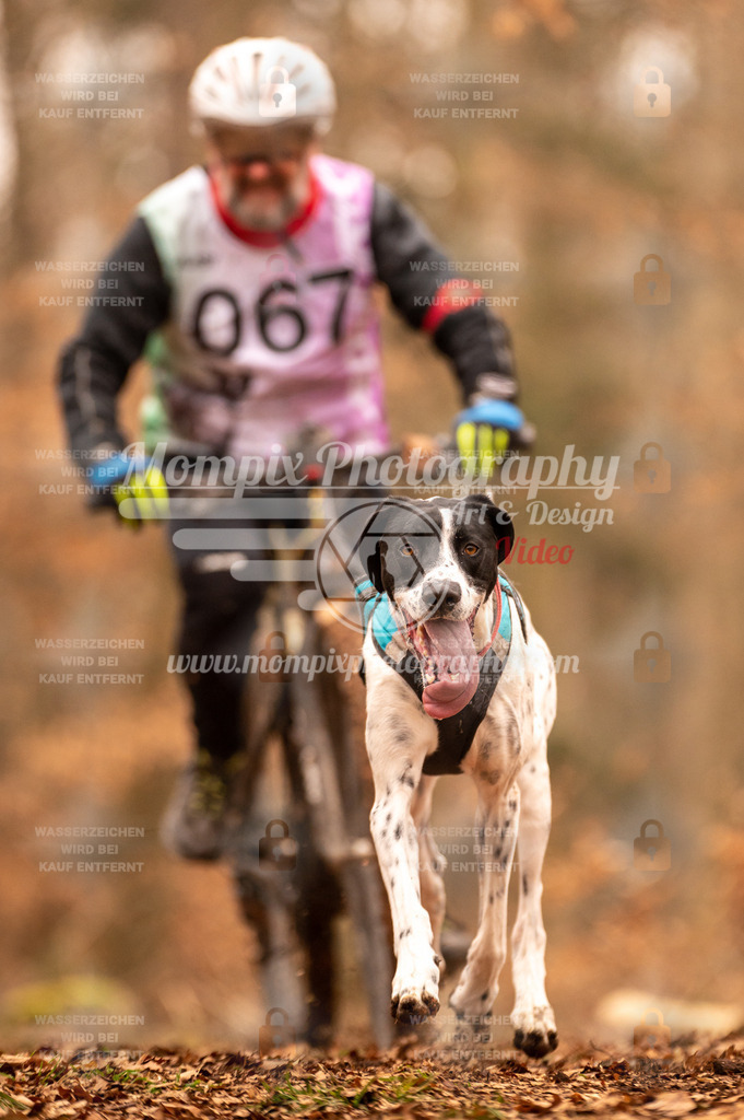 AKM_ST_2023_SAM_Bike-48 | PayLife