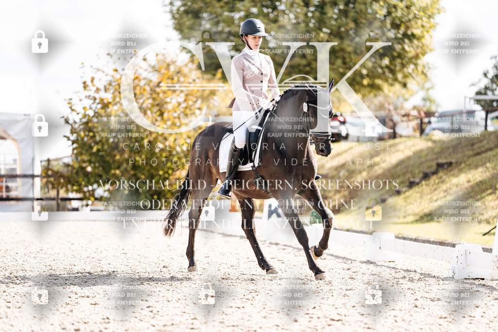 CK901986 | Turnierfotografie Pferdefotografie Trier Rheinland-Pfalz Pferdesport Reitsport Tierfotografie Sportfotografie Pferdevideo Pferdevideografie Equestrianvideography equestrianphotography  - Realisiert mit Pictrs.com