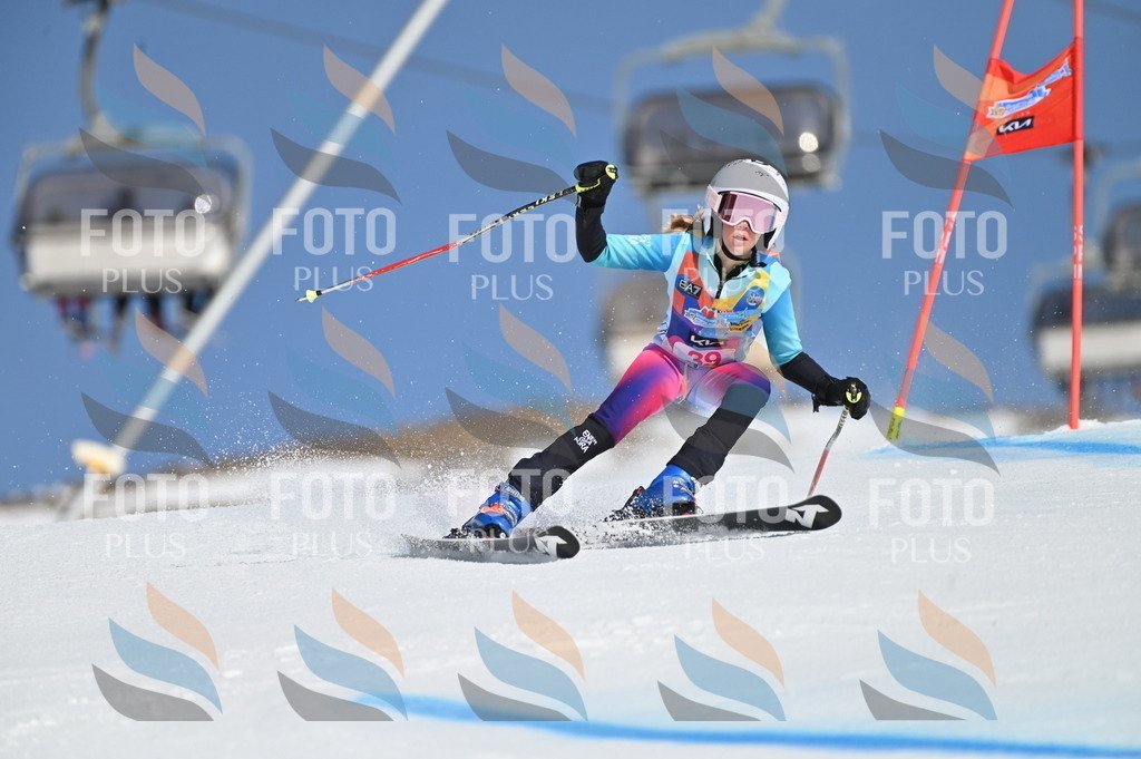 BGV_8330 | holidayphoto